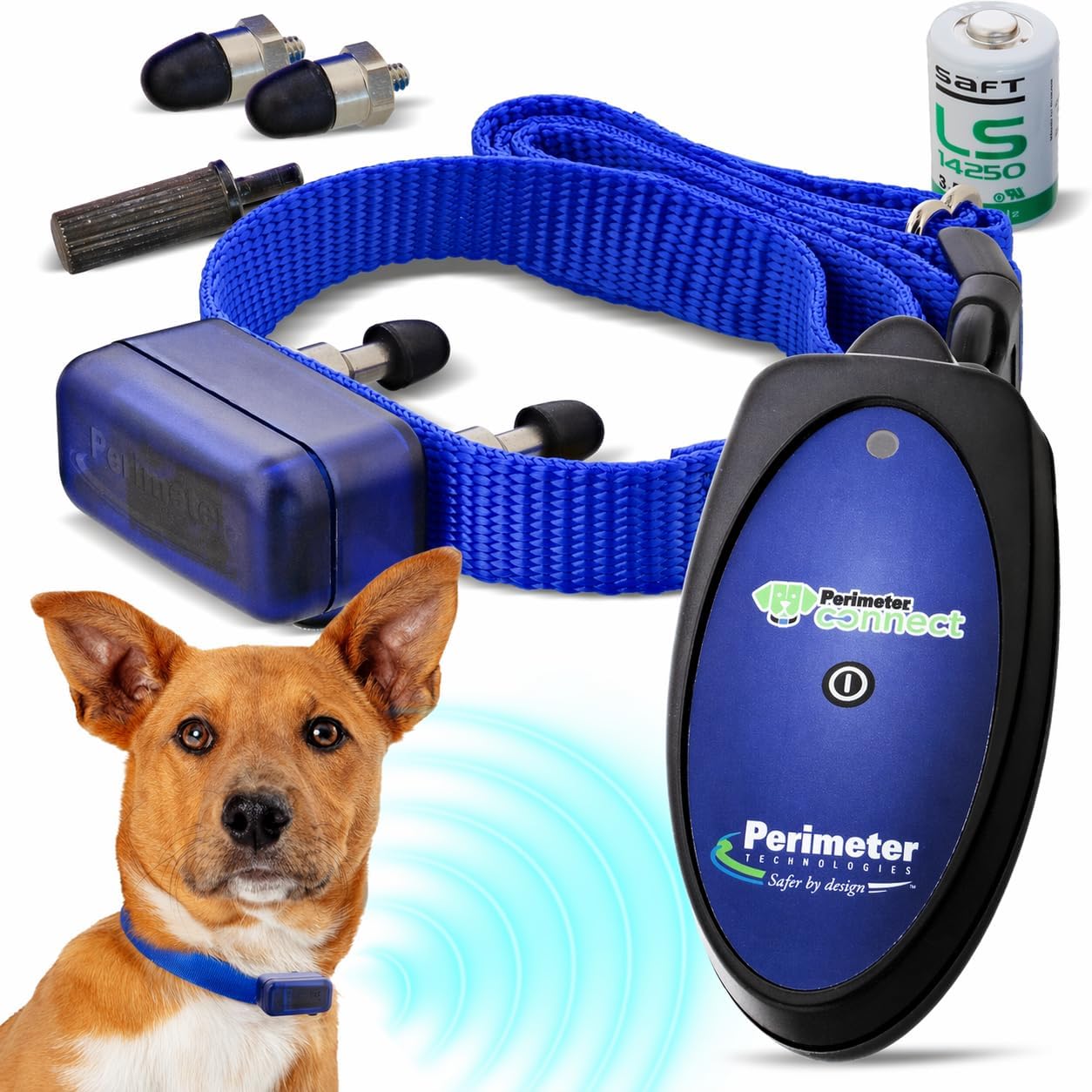 Dog wearing a blue PT-Connect rechargeable collar, with collar and programmer shown