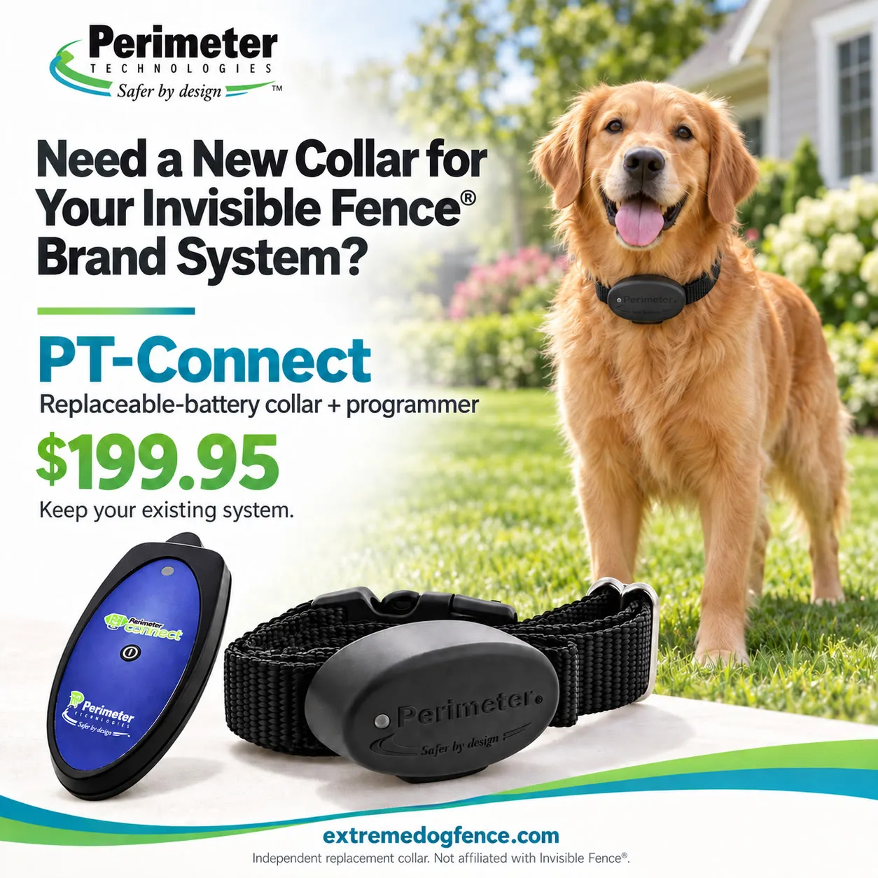 pt-connect-replacement-ad PT-Connect replaceable-battery collar and programmer with a golden retriever, priced at $199.95